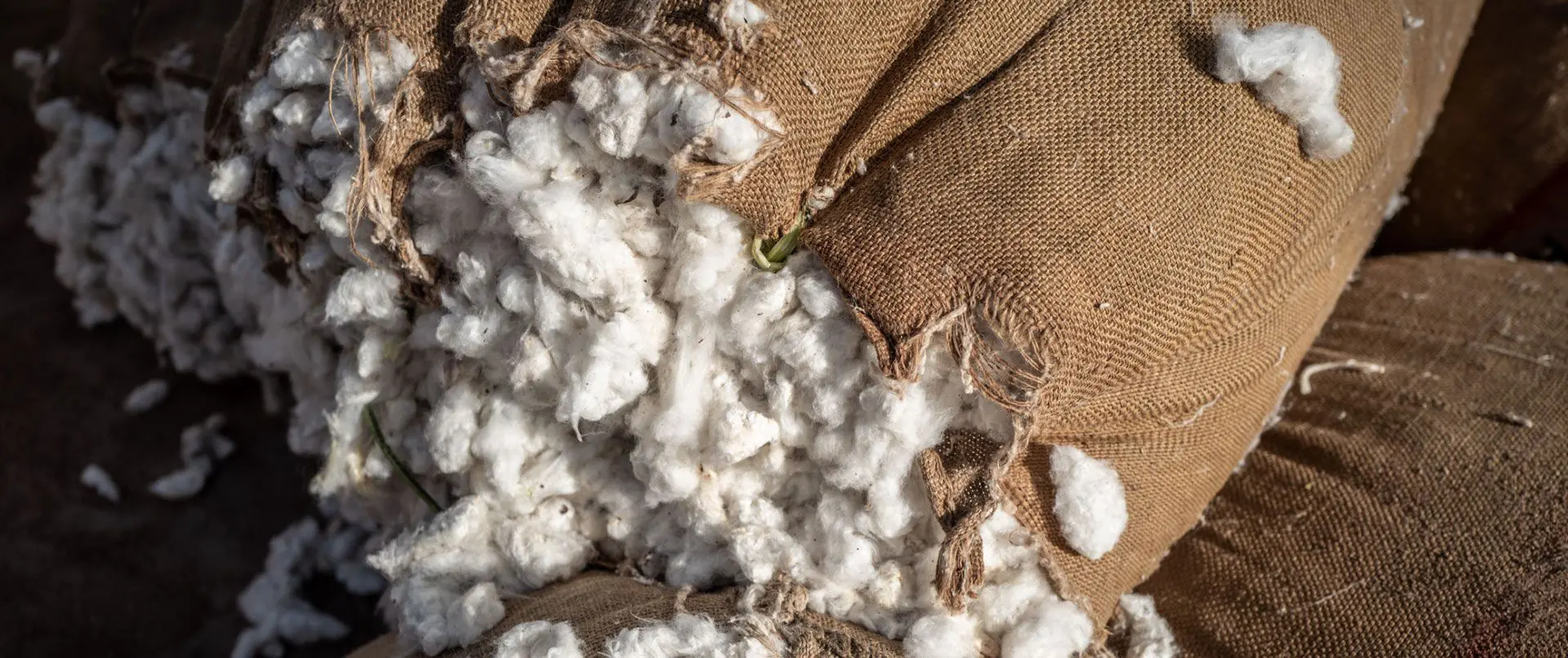Advantages of Cotton Trading