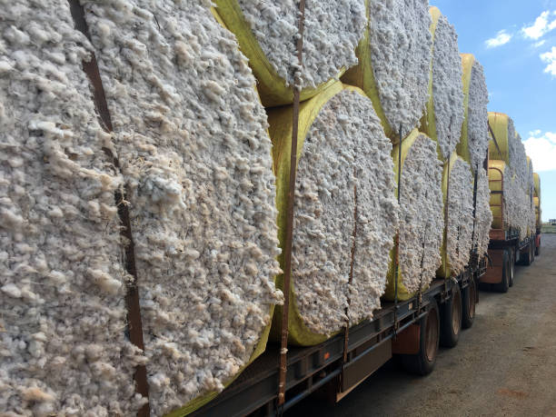Looking for Reliable Cotton Solutions?