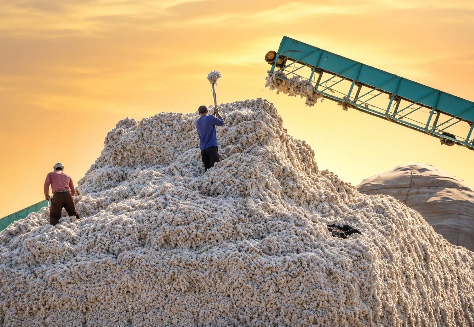 Premium Cotton Ginning and Pressing Suppliers in Dharwad